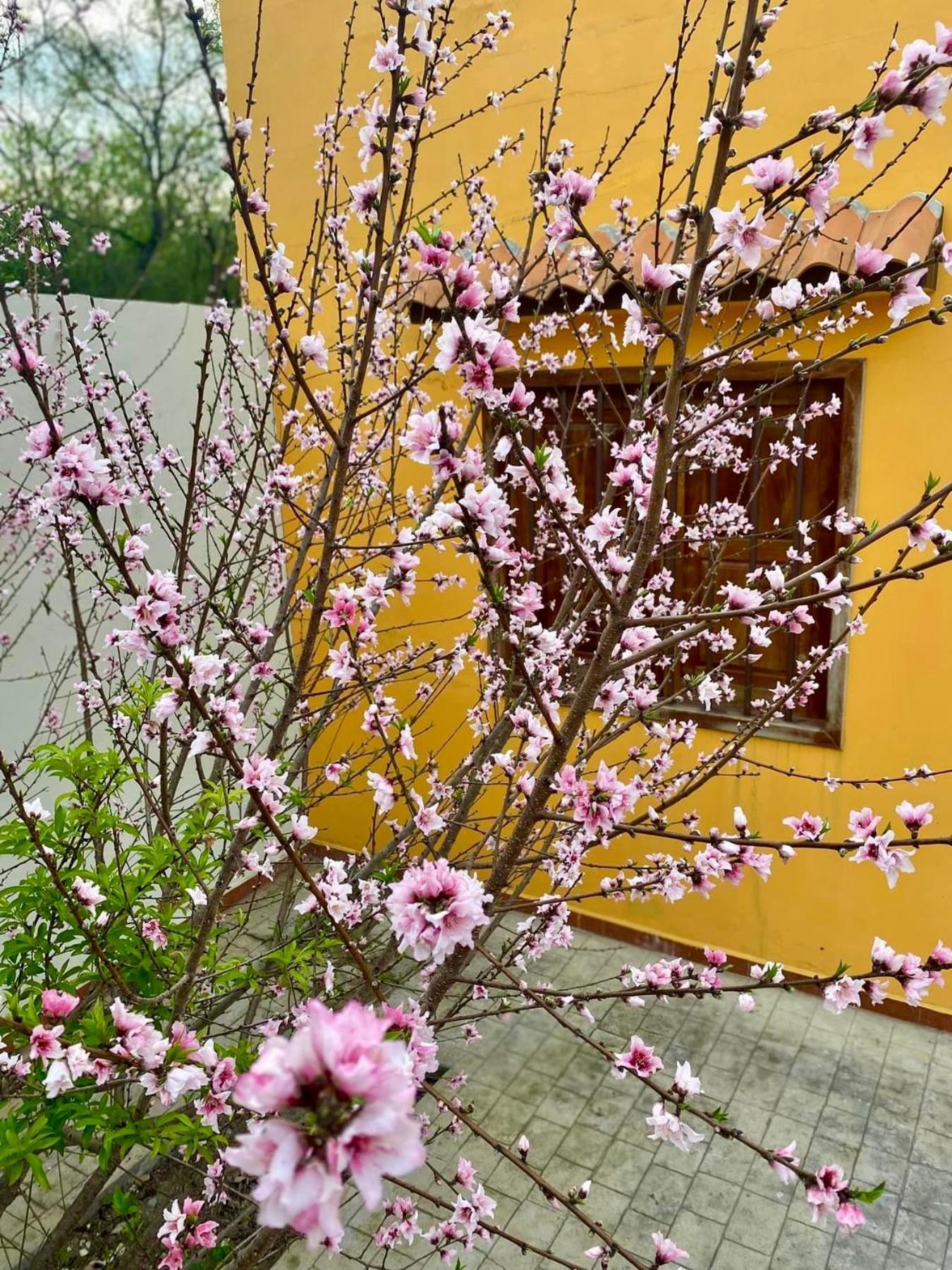Casa Villa Antigua Montemorelos Εξωτερικό φωτογραφία